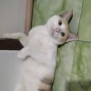 ออม