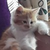 Jidahyaa