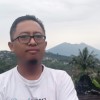 Bams