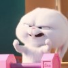 paipaiyhy
