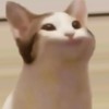 pop