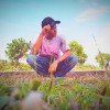 wahyu nis