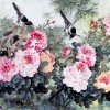 brenda Ma