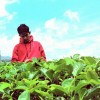 Laaskarr Putra
