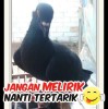 Handi