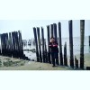 Rizky