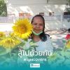 บุญเทา อัศวภูมื