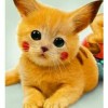 pikahcuww