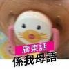 蔡蔡