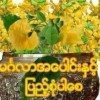 တပ်ကုန်းသားလေး တပ်ကုန်းသားလေး