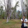 Koerniawan