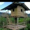Echy