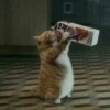 ティナツ