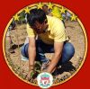 Weerasak Janthakhet