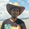 หมี