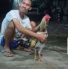 Kandang Angga Lesmana