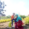 Gepeng