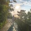 東東