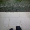 Ade WA