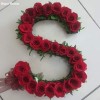 Shahnaira Zuwar
