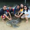 Yosua Septian Sitorus