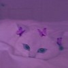 𝚓𝚊𝚌𝚚𝚞𝚎𝚕𝚒𝚗𝚎 𝚎𝚛𝚕𝚒𝚗𝚔𝚊