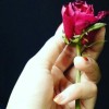 ummul_109