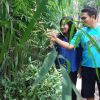 Ridho Dwi Kurniawan