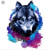 Galaxy wolf 