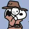 云云