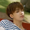 เรา กับกบน้อยสีเขียว