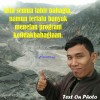 Juneto Cuy