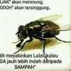 Ar'one Cool