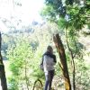 Suren Junni