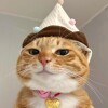 porwarnor 