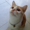 tuty
