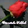 insan