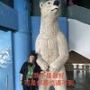 湘湘B-)