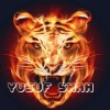 yusufshah302