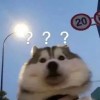 画音