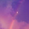 Over-the RainbOwz