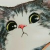 August🐱