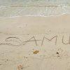Samuel Fernando Napitupulu