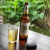โปรดระบุ ชื่อของคุณ