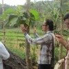 Mochamad Bayu Kresna