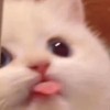 你好