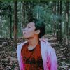 Alamsya Alam
