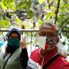 Turut Adi