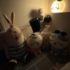 監獄兔