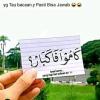 Jamiljebed Jamil